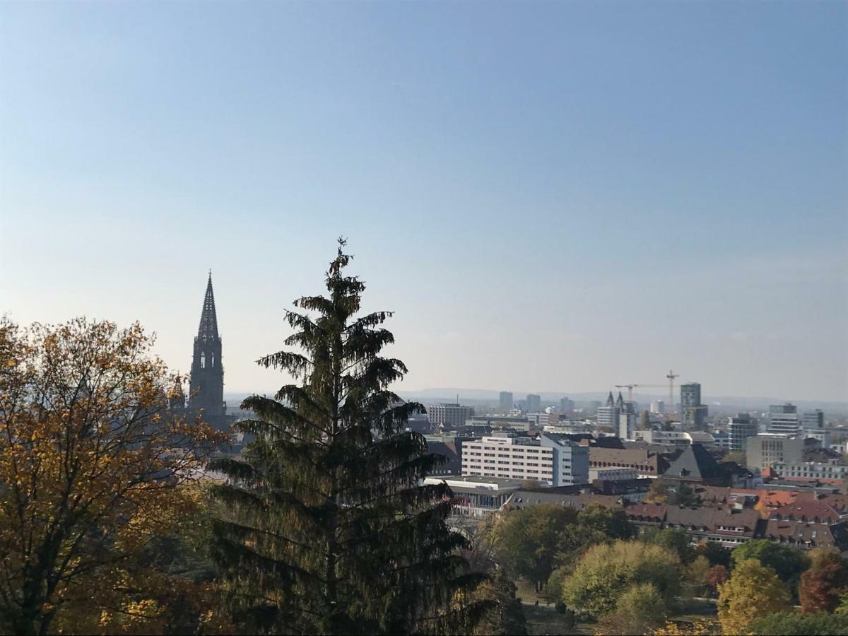 Ferienwohnung-freiburg-exklusiv Apartment
